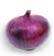 Mini_onion