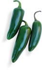 Pepper_jalapeno_green