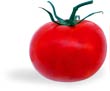 Tomatoe