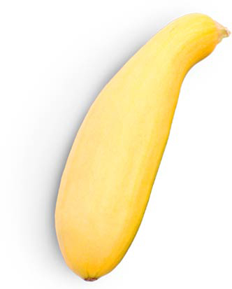 Zucchini_yellow