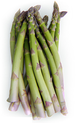 Asparagus_2_copy